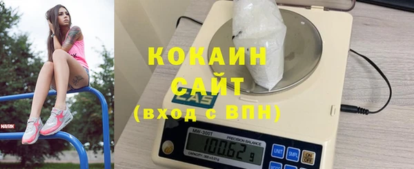 сатива Бородино