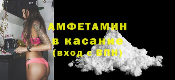 сатива Бородино