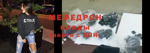 сатива Бородино