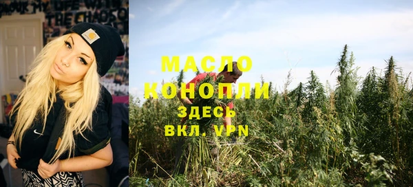 сатива Бородино