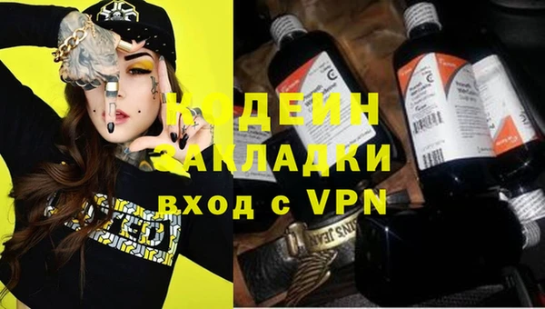 сатива Бородино