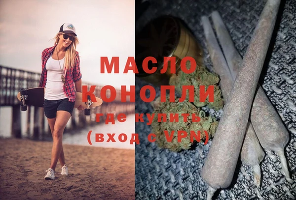 сатива Бородино
