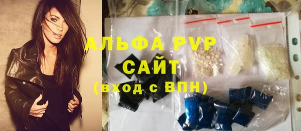 сатива Бородино